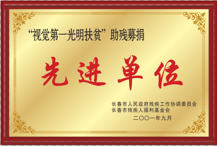 2001視覺第一光明扶貧助殘募捐先進(jìn)單位